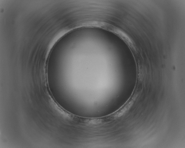 X0000074310808200608251234