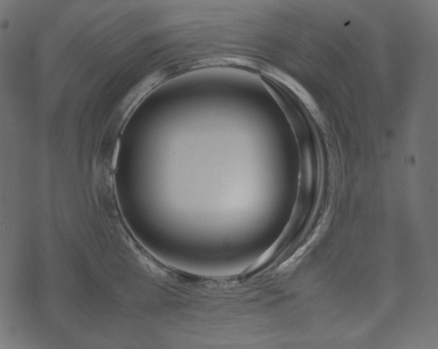 X0000074310809200608251234