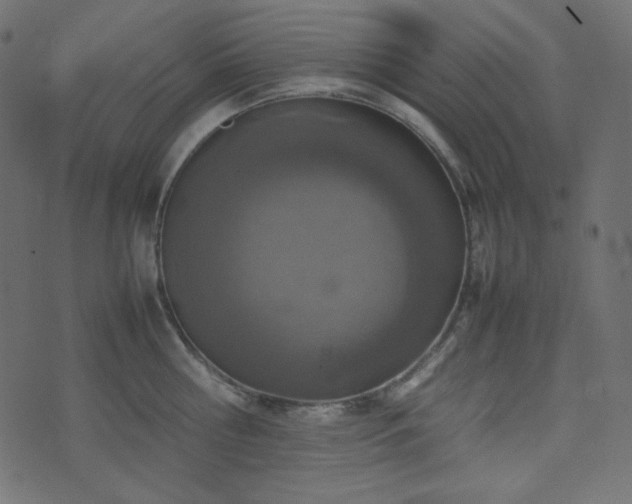 X0000074310810200608251234