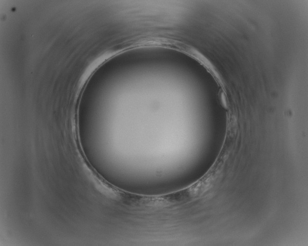 X0000074310811200608251234