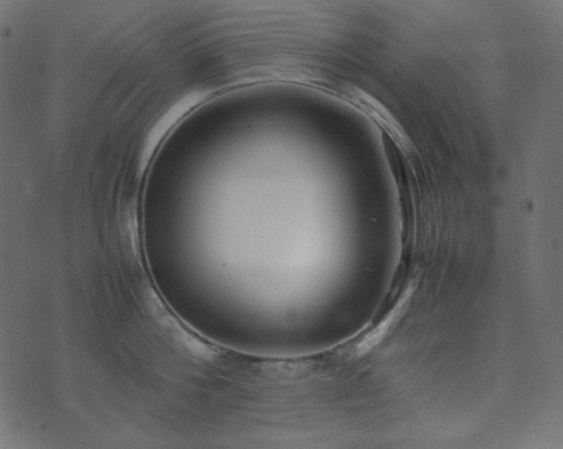 X0000074310812200608251234