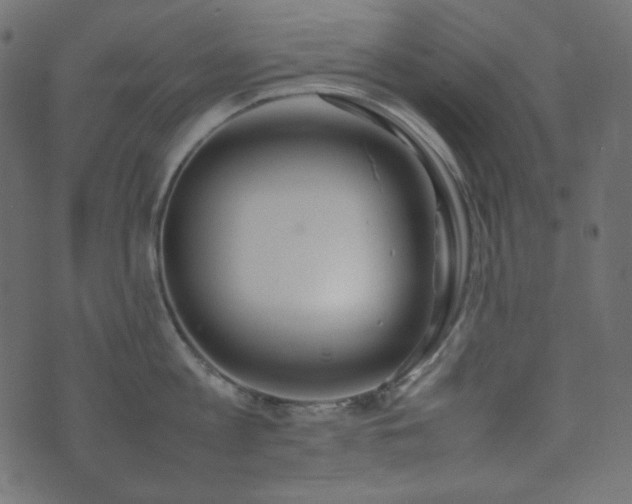 X0000074310813200608251234