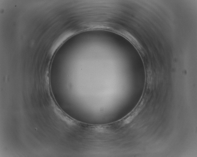 X0000074310814200608251234