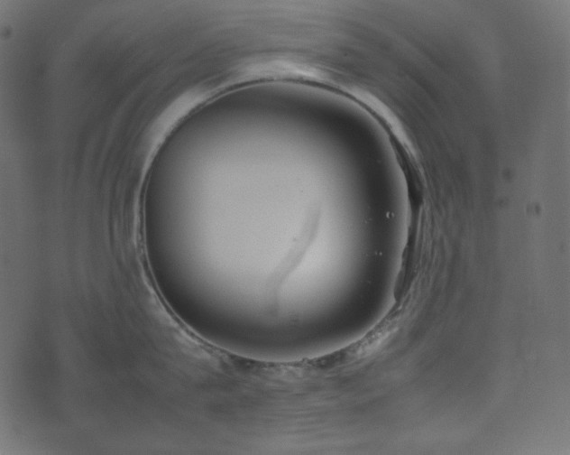 X0000074310815200608251234