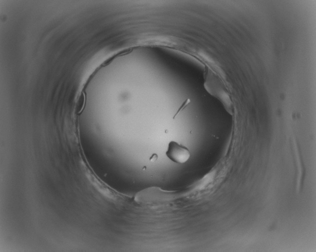 X0000074310816200608251234