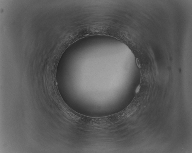 X0000074310817200608251233