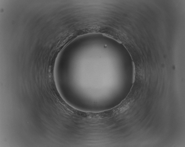 X0000074310818200608251233