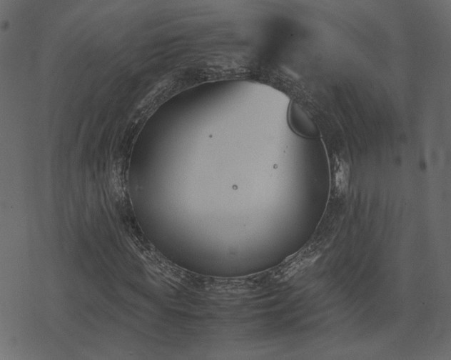 X0000074310819200608251233