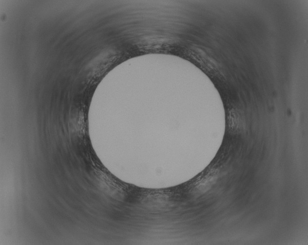 X0000074310820200608251233