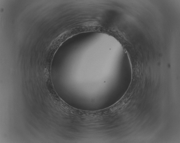 X0000074310821200608251233