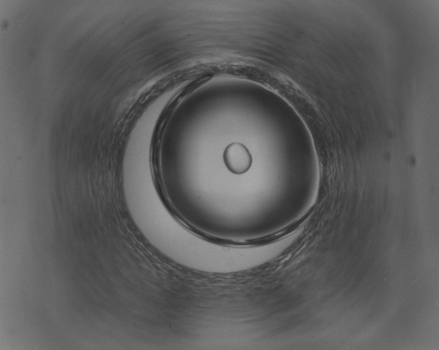 X0000074310822200608251233