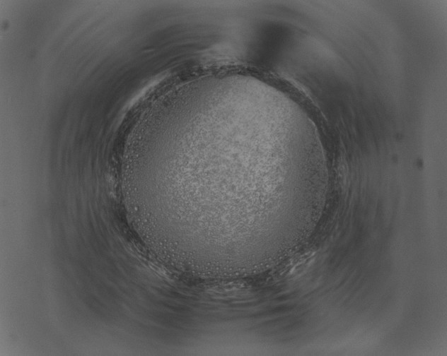 X0000074310823200608251233