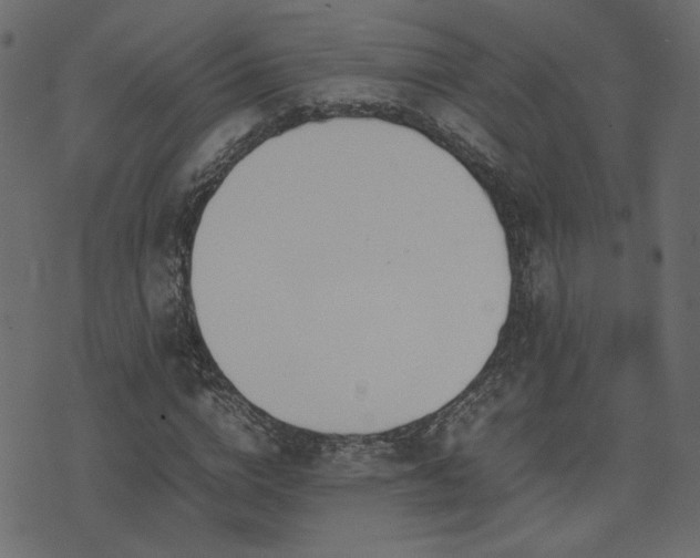 X0000074310824200608251233