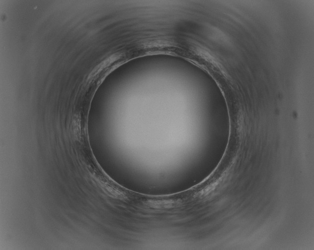 X0000074310825200608251233