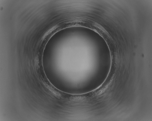 X0000074310826200608251233