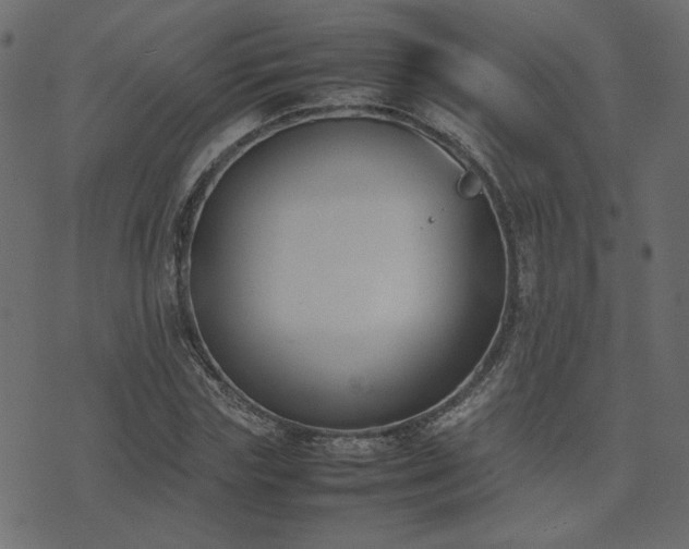 X0000074310827200608251233