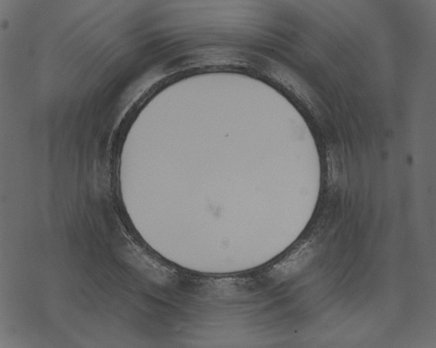 X0000074310828200608251233