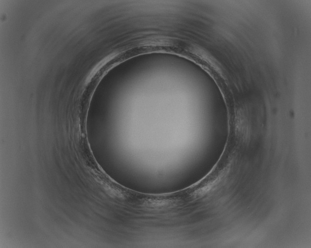 X0000074310829200608251233