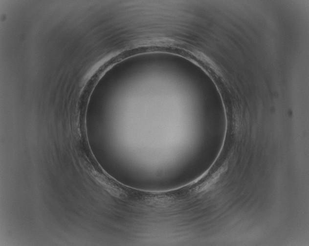 X0000074310830200608251233