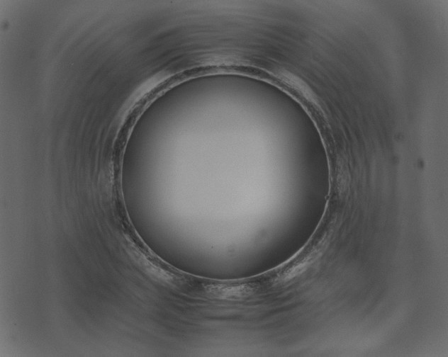 X0000074310831200608251233