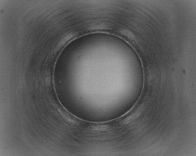 X0000074310833200608251233