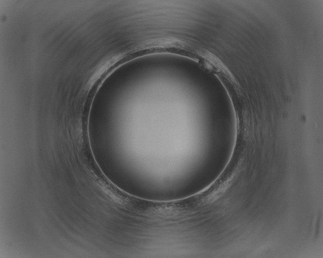 X0000074310834200608251233