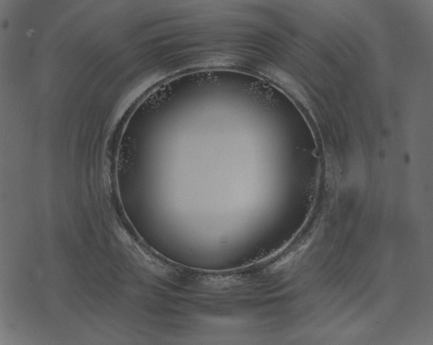 X0000074310835200608251233