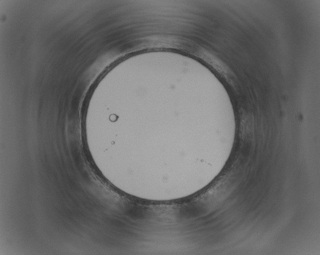 X0000074310836200608251233