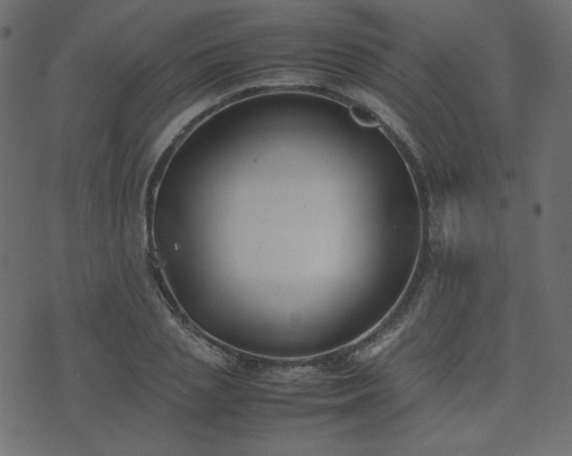 X0000074310837200608251233