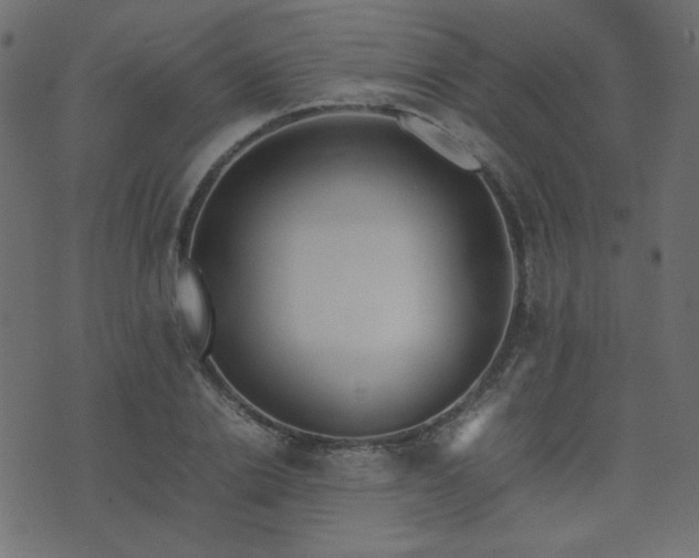 X0000074310838200608251233