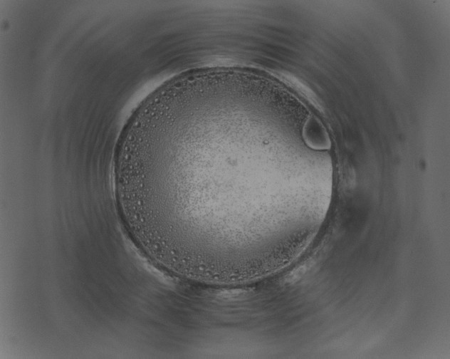 X0000074310839200608251233