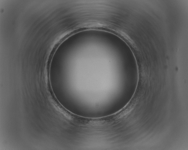 X0000074310840200608251233