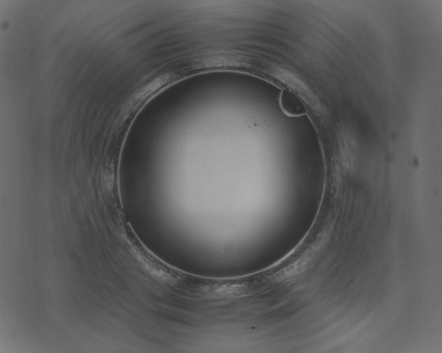 X0000074310841200608251233