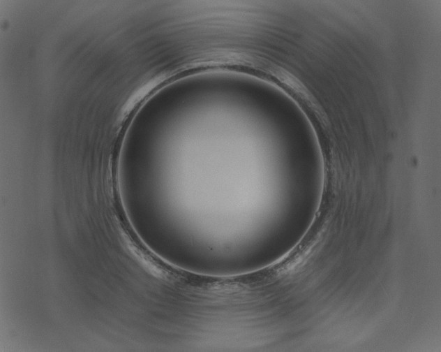 X0000074310842200608251233