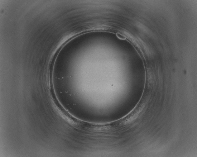 X0000074310843200608251233