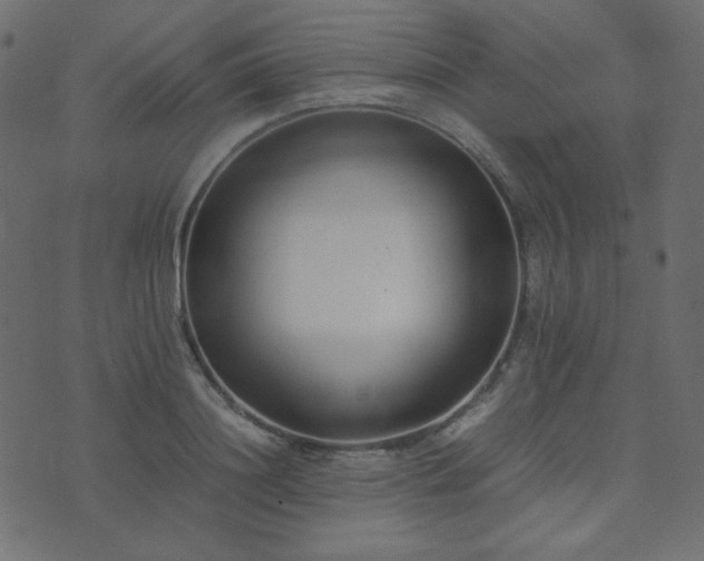 X0000074310844200608251233