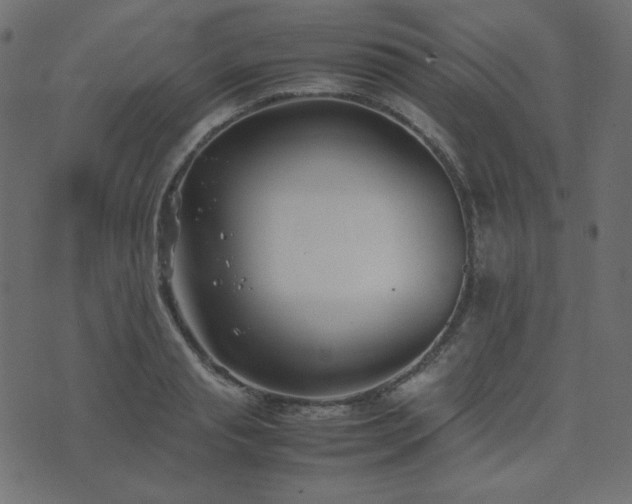 X0000074310845200608251234