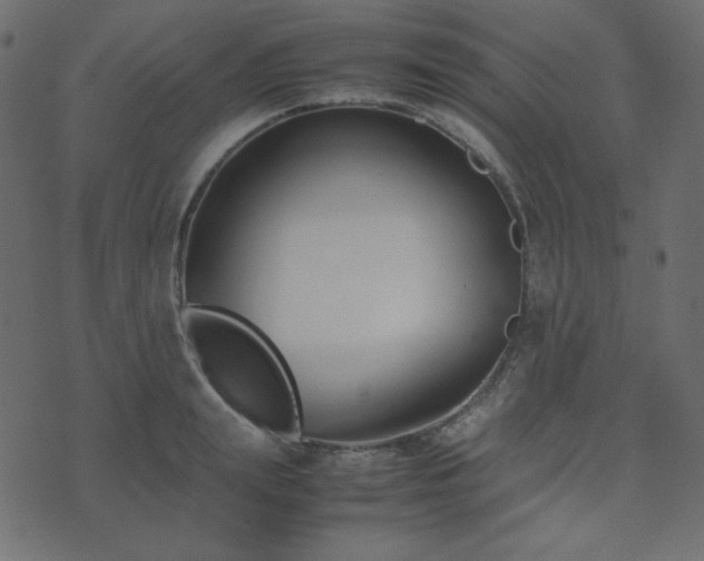 X0000074310847200608251234