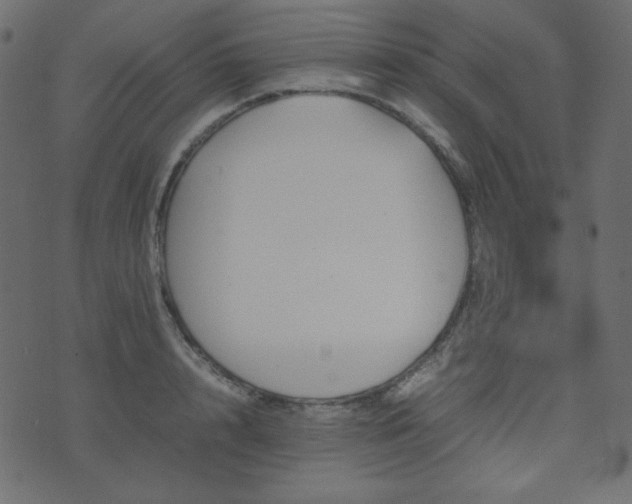 X0000074310848200608251234