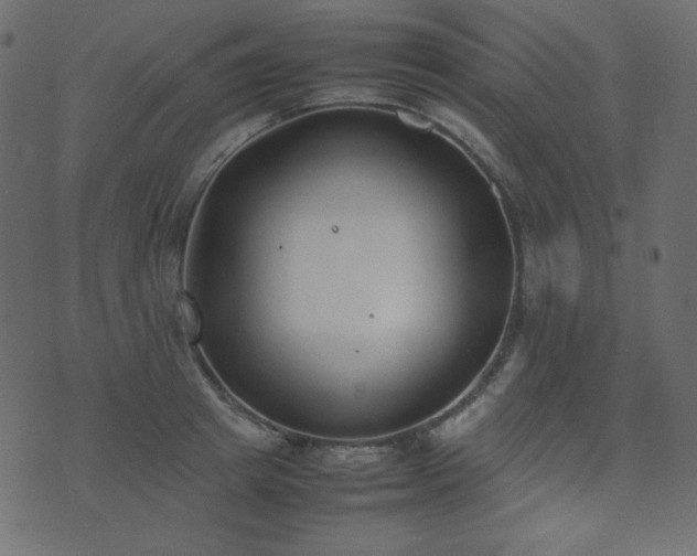 X0000074310849200608251234