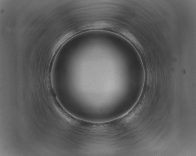 X0000074310850200608251234