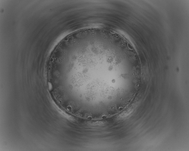 X0000074310851200608251234