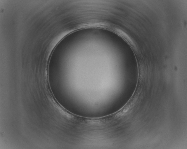 X0000074310852200608251234