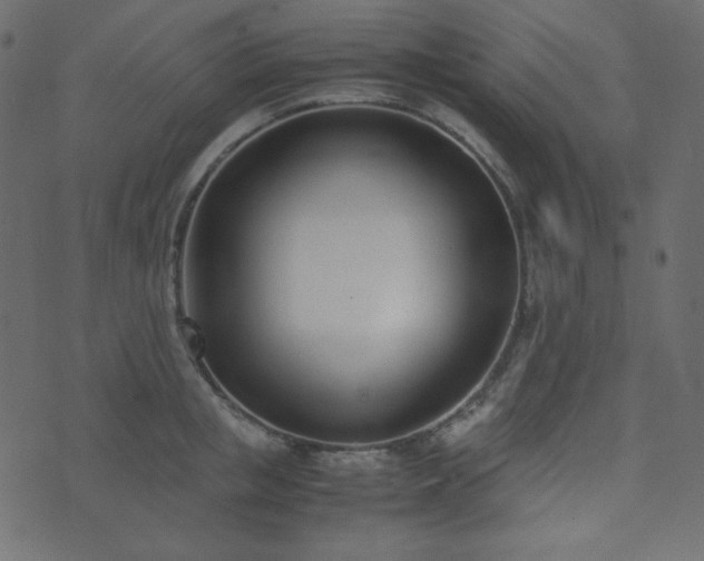 X0000074310853200608251234