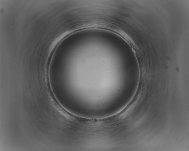 X0000074310854200608251234