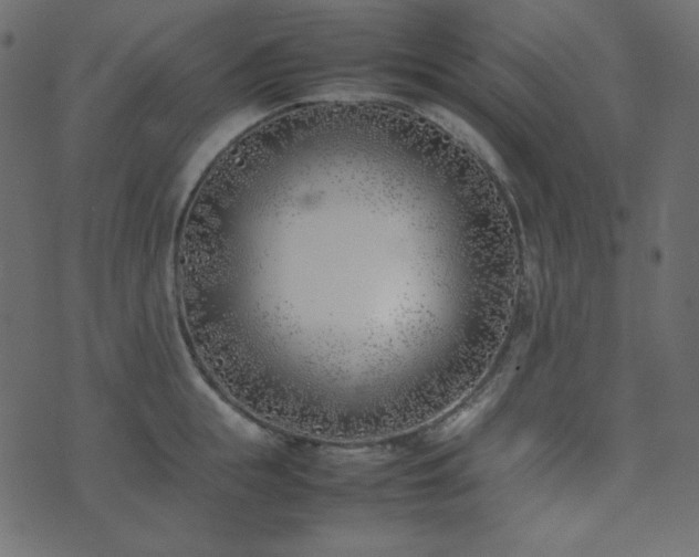 X0000074310855200608251234