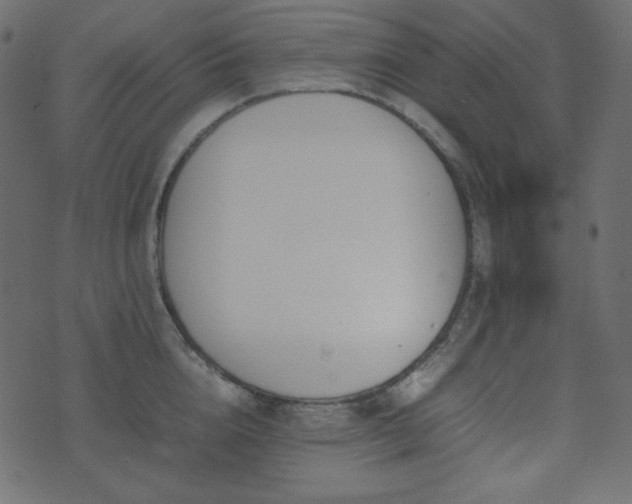 X0000074310856200608251234