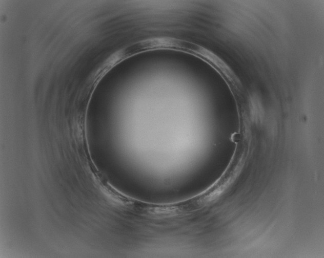 X0000074310857200608251234