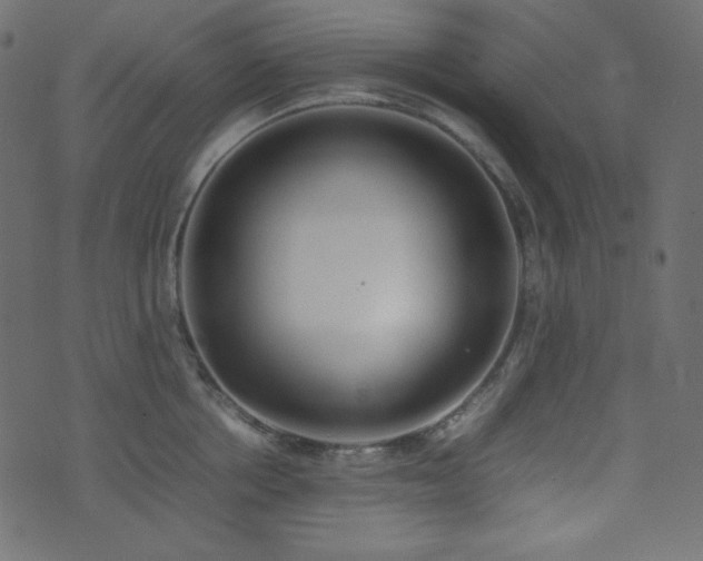 X0000074310858200608251234