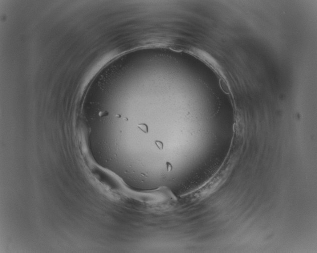 X0000074310859200608251234